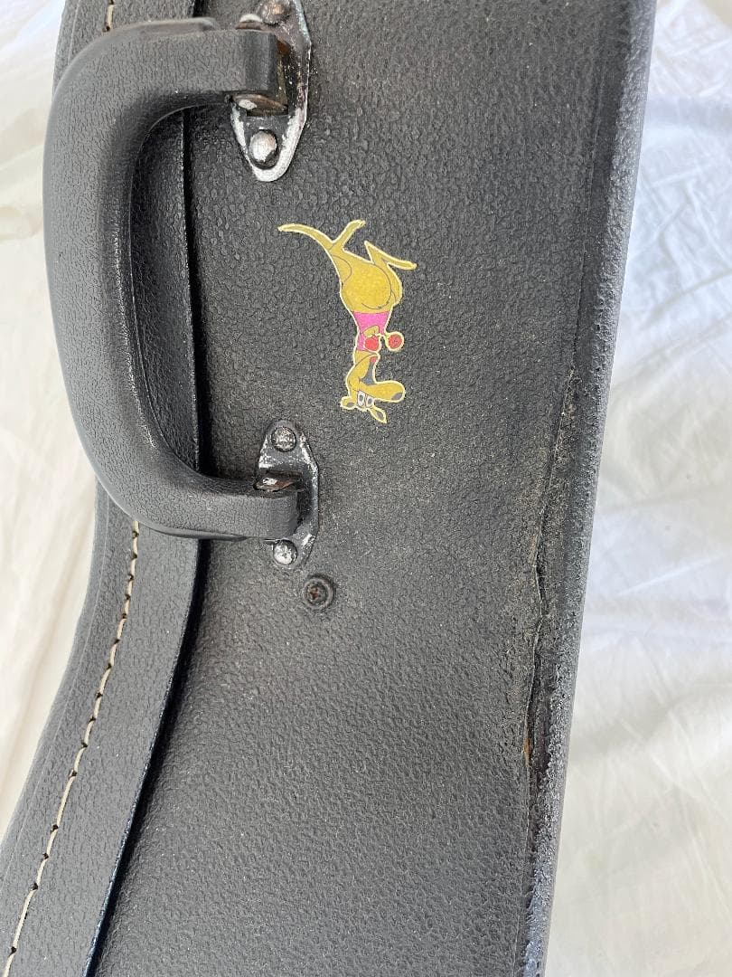 YAMAHA FG-200D ハードケース(難有)と小物付き