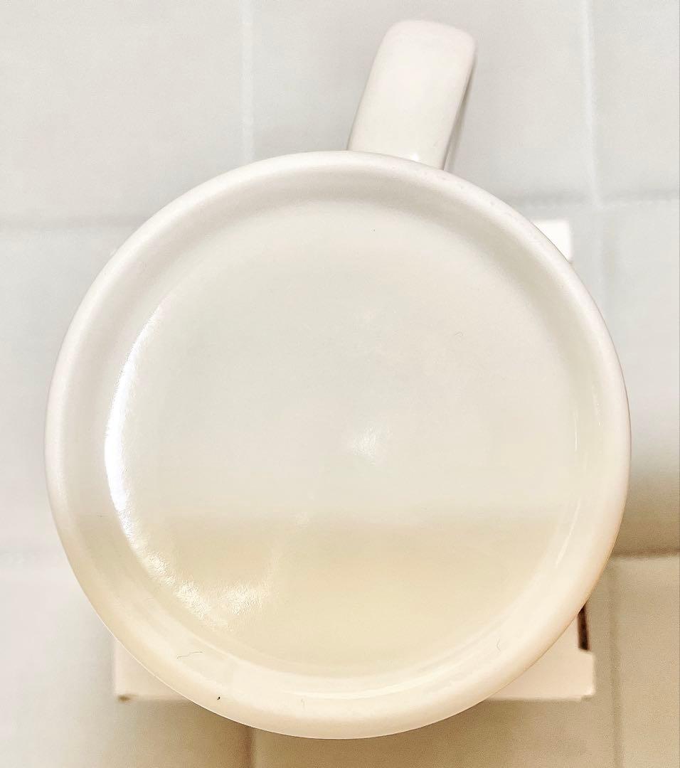 ナガノマーケット ワンカラー撥水マグカップ（モモンガ）