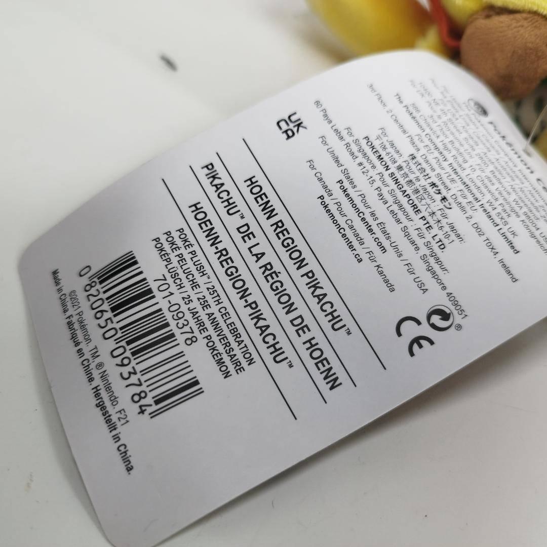 ピカチュウ 25周年 ホウエン地方 ぬいぐるみ ペア ポケモンセンター hIS6