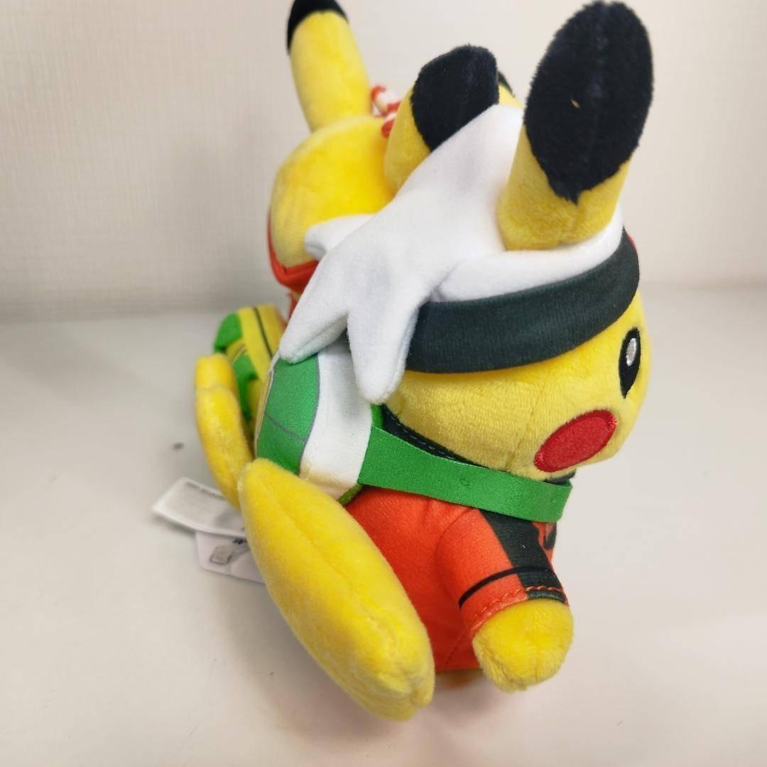 ピカチュウ 25周年 ホウエン地方 ぬいぐるみ ペア ポケモンセンター hIS6