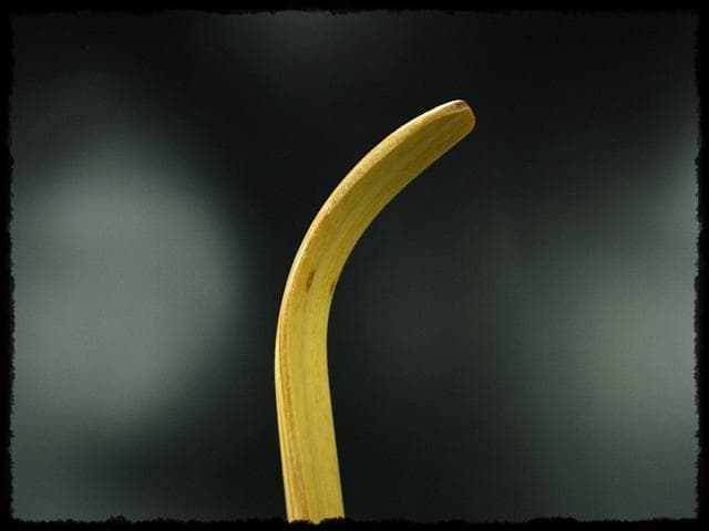 かげろう 銘 大徳寺 戸上 明道 宗春下削 茶杓 書付箱d72