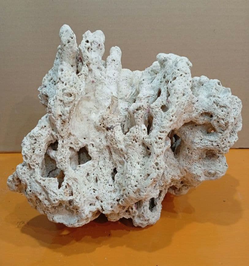 天然ライブロック　デスロック　アクアリウム　白化サンゴ　ハンドメイド