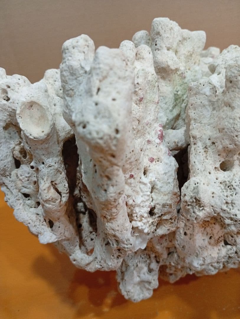 天然ライブロック　デスロック　アクアリウム　白化サンゴ　ハンドメイド