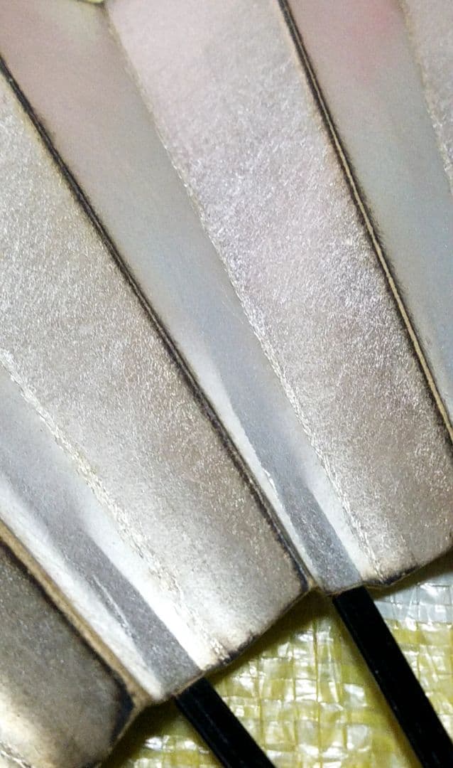 骨董品　扇子　豊臣秀吉　拝領　金箔扇子