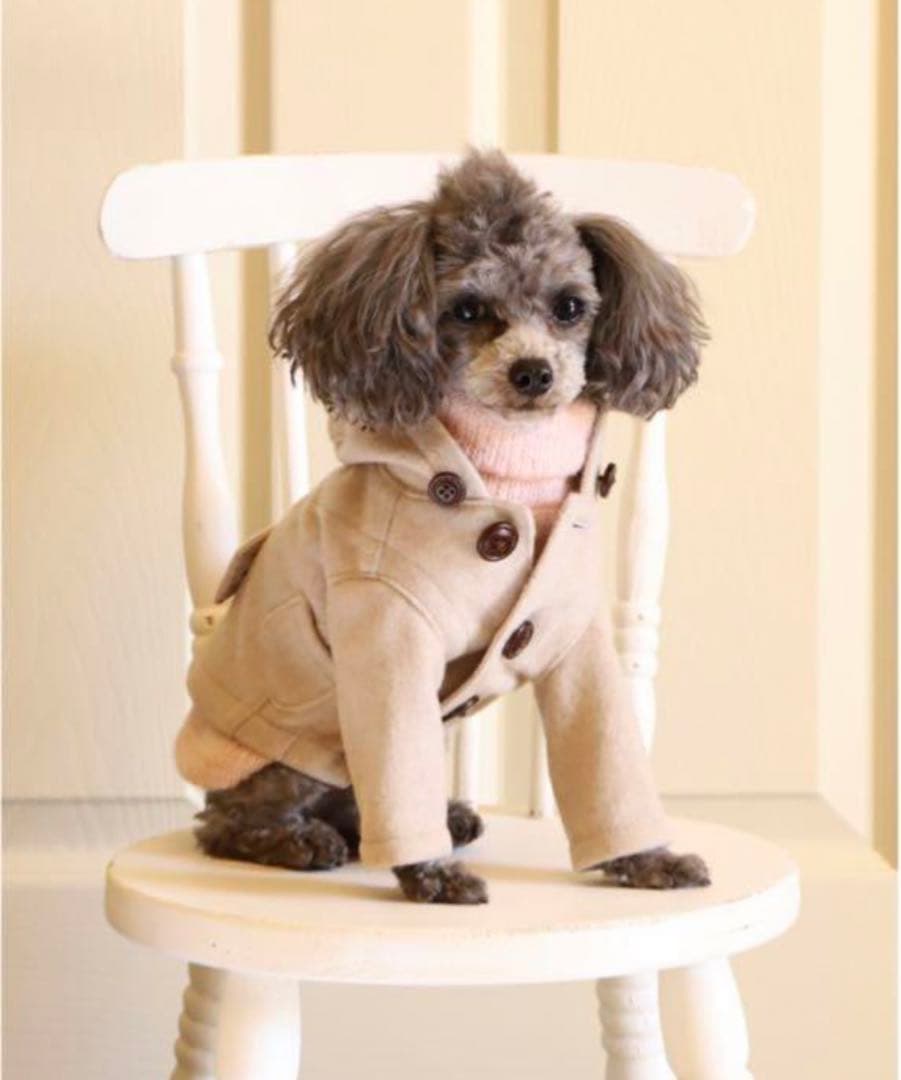 アトリエGG Greige Coat 25