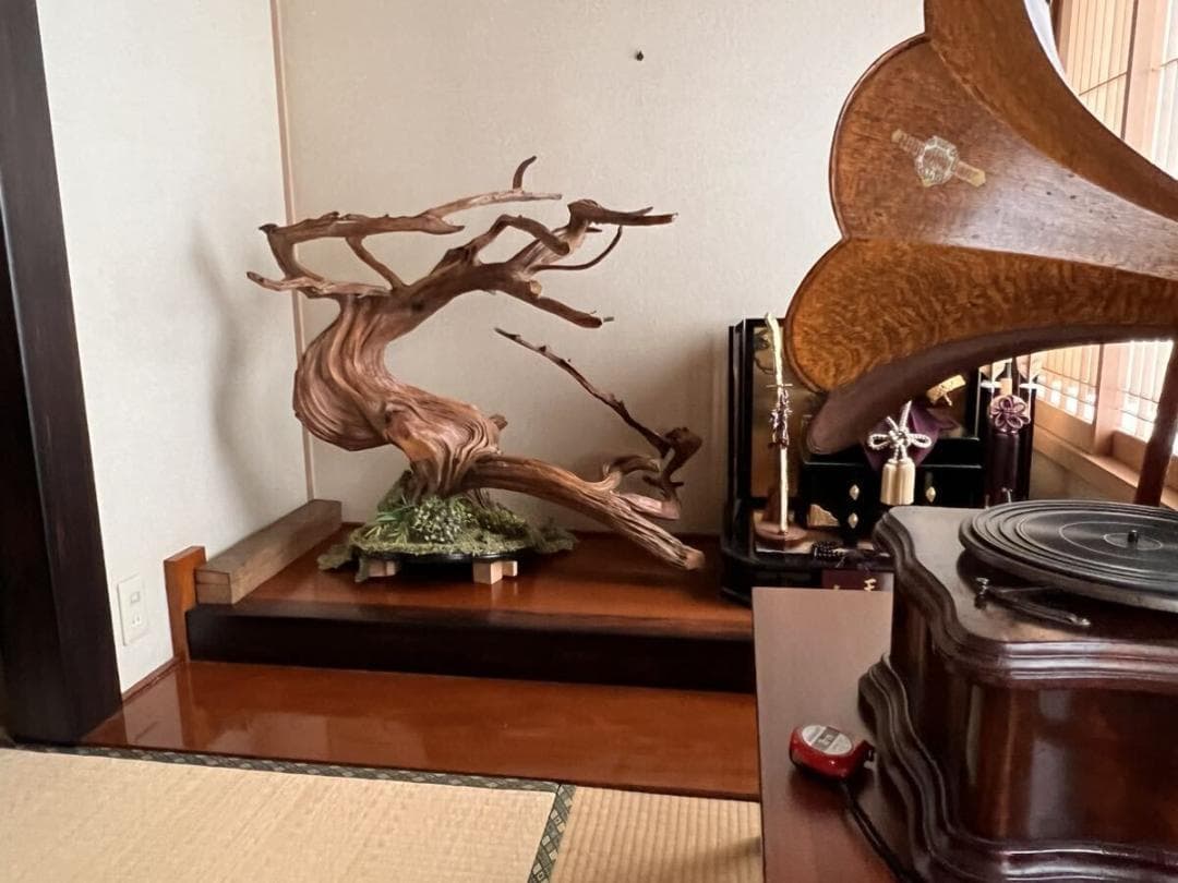 入手困難！超貴重な知床真柏を手作業で磨いたオブジェ