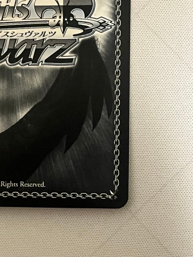 ws ヴァイスシュヴァルツ　怒涛の撮影スケジュール　MEMちょ　SEC＋　サイン