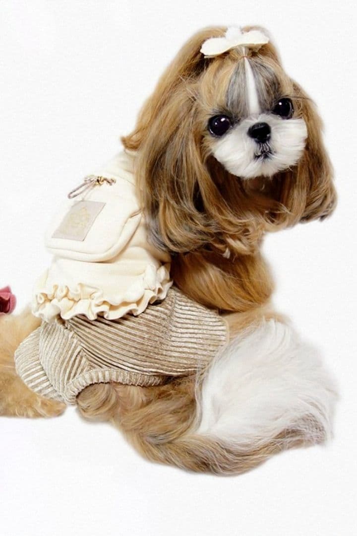 新品Choco Bears＆SWING PLEATS PTサーカスサーカス