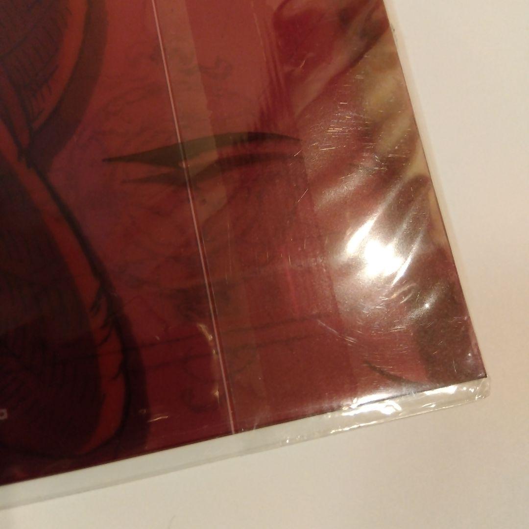 ONEPIECE ルフィ B5 クリアファイル 当時物 希少 レア レトロ