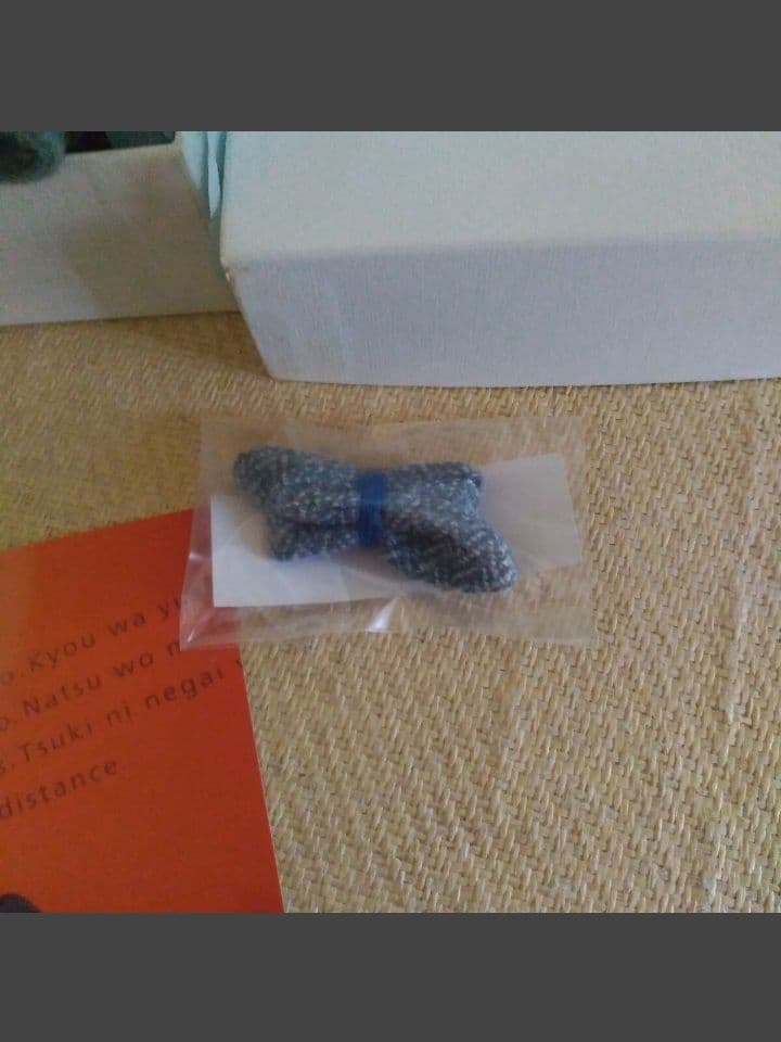 ZARD 坂井泉水 マフラー 君とのDistance レア 貴重 グッズ