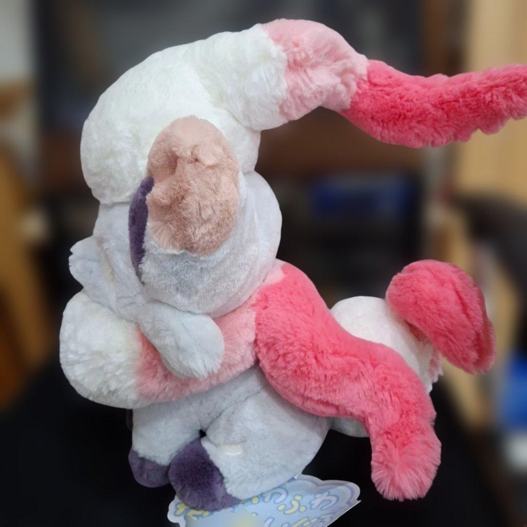 ポケモンセンター　ふわふわ抱きぬいぐるみ　ヒスイ　ゾロア　ネッコアラ　クッション