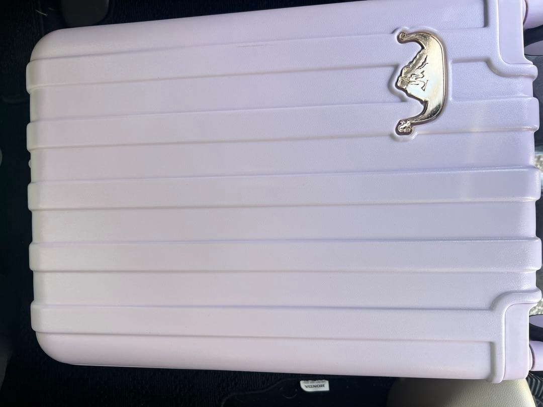 しまむら　ハッピーバッグ　ラプンツェル　キャリーバッグ　福袋　ディズニー