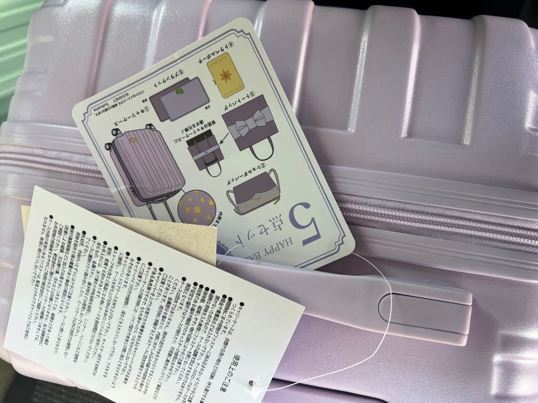 しまむら　ハッピーバッグ　ラプンツェル　キャリーバッグ　福袋　ディズニー