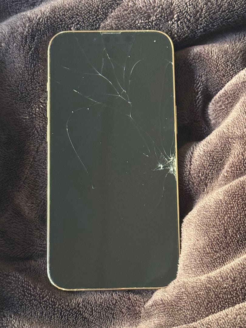 Apple iPhone 13 Pro 本体 画面ひび割れ