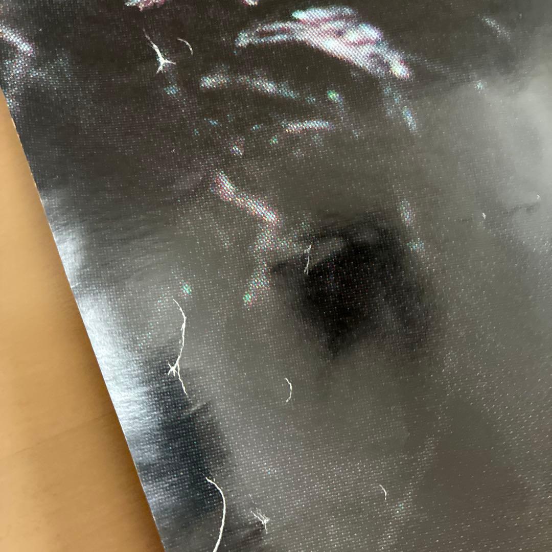 資生堂　非売品　ポスター　外人