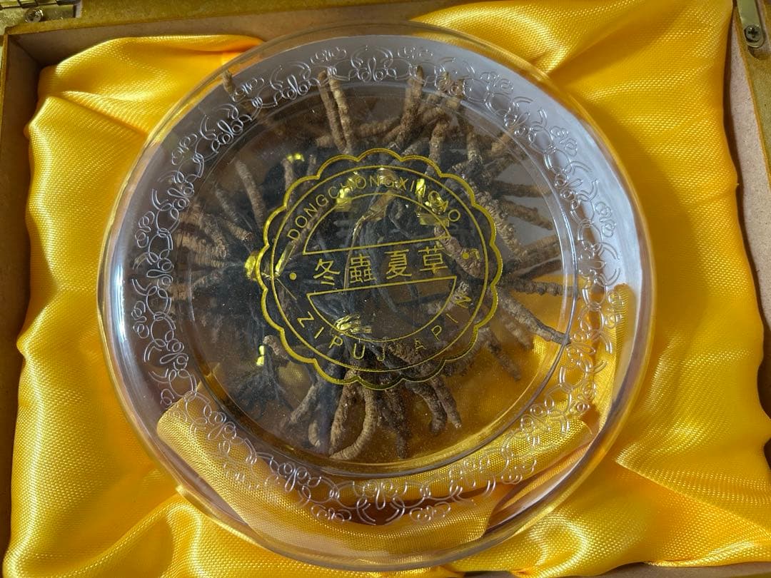 【新品・未開封】冬虫夏草