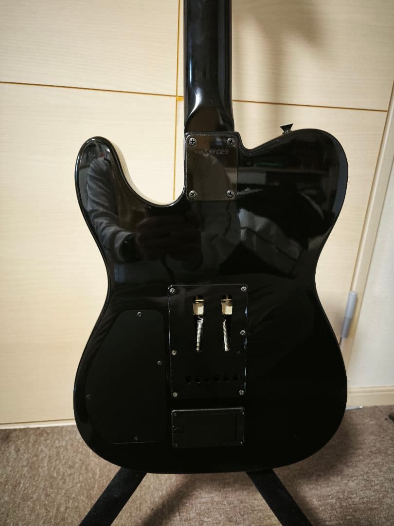 Fernandes TEJ-95S 18Vサスティナー