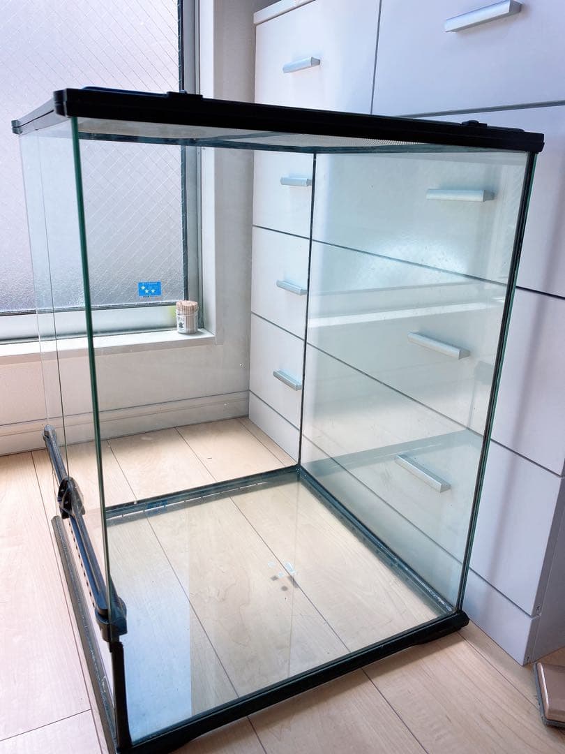 グラステラリウム4560 送料込み