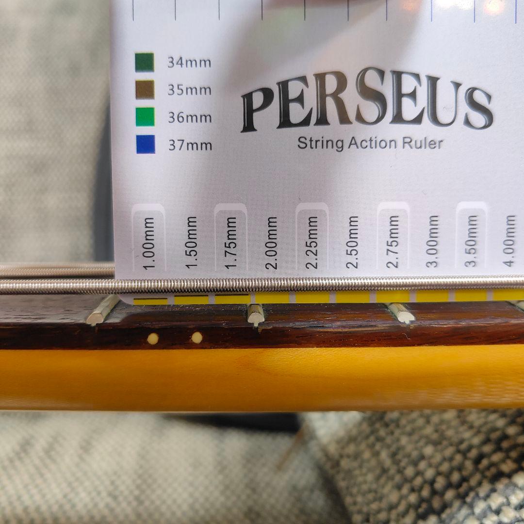 【希少】ARIA PRO II SB-RSZ EMG スルーネック