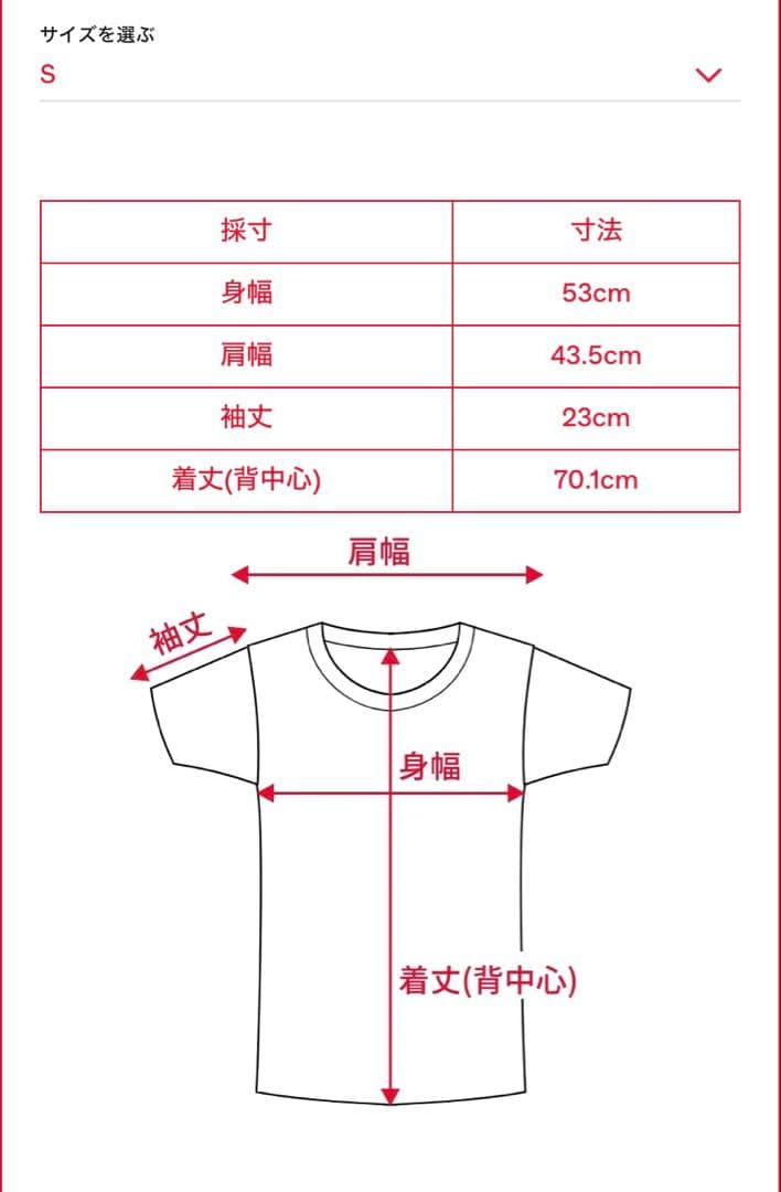 サイズS ディーゼル　DIESEL T-shirt with llic