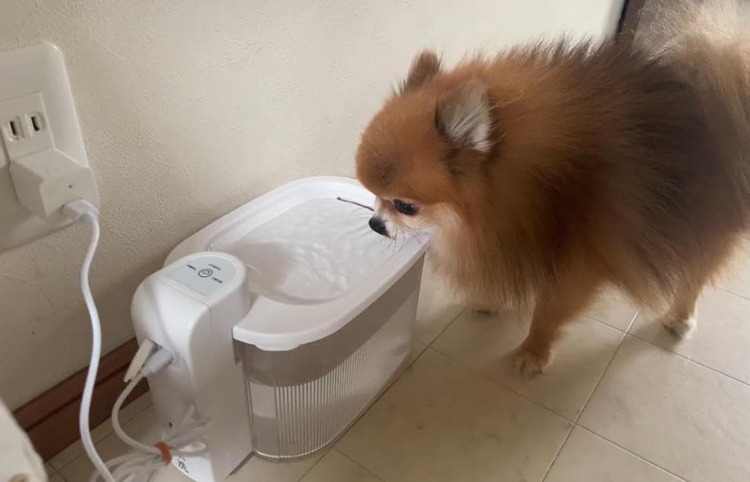 猫 水飲み器 自動給水器 ピュアクリスタル コードレス スマートセンサー搭載 2