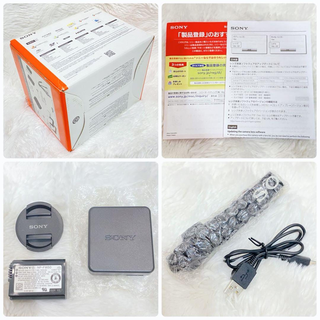 【美品】SONY α5100 ミラーレス一眼 シルバー 16-50mm 付属品有