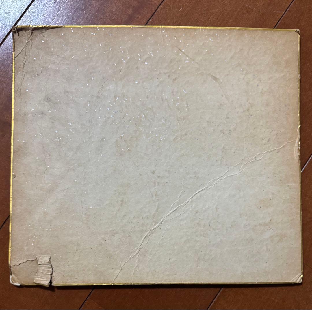 T*5様 いがらしゆみこ キャンディキャンディ 色紙 丘の上の王子様