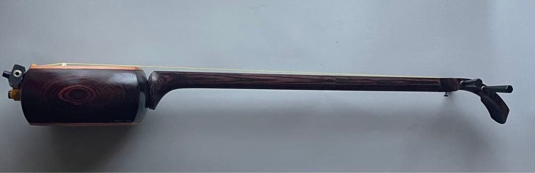 レア楽器　「サバミセン」　エレクトリック対応、撥・ハードケース付き