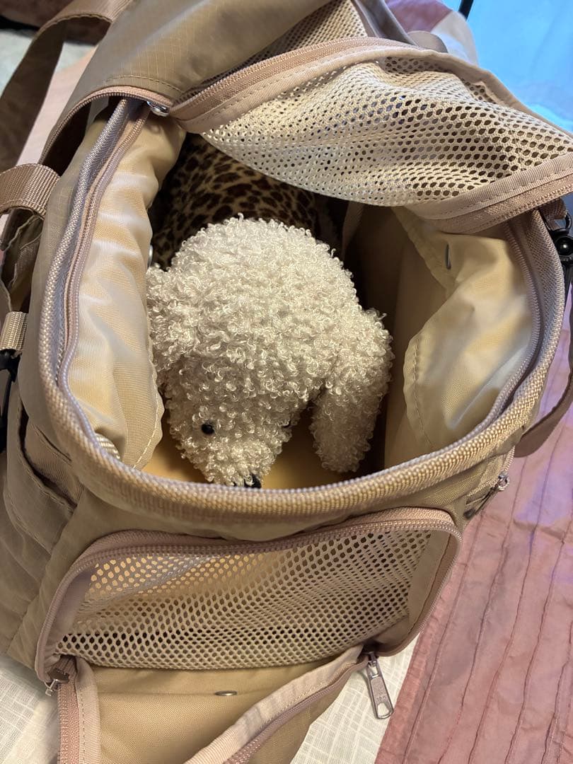 匿名送料込美品⭐︎DGDLベージュ ペット用キャリーバッグ 多機能