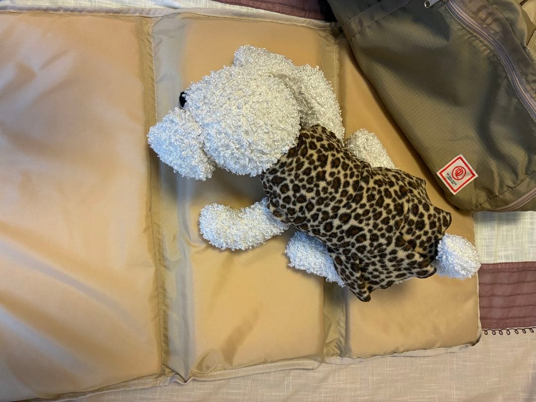 匿名送料込美品⭐︎DGDLベージュ ペット用キャリーバッグ 多機能