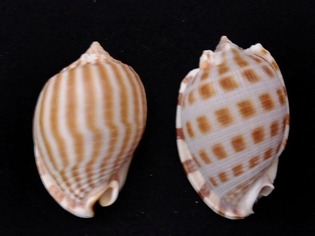 Narita様 リクエスト 7点 まとめ商品