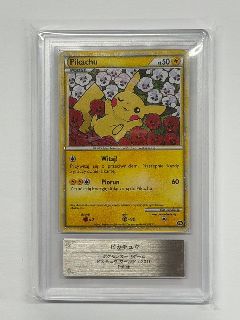 ARS10+ ピカチュウ pikachu world ポーランド