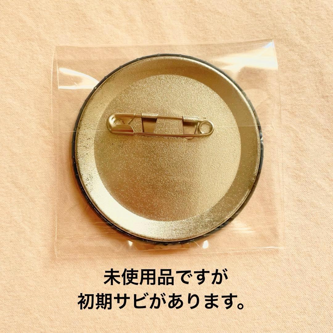 十龍之介 Heavenly Visitor 缶バッジ 100点セット