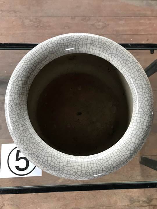 火鉢貫入地ワインクーラーメダカ古民家