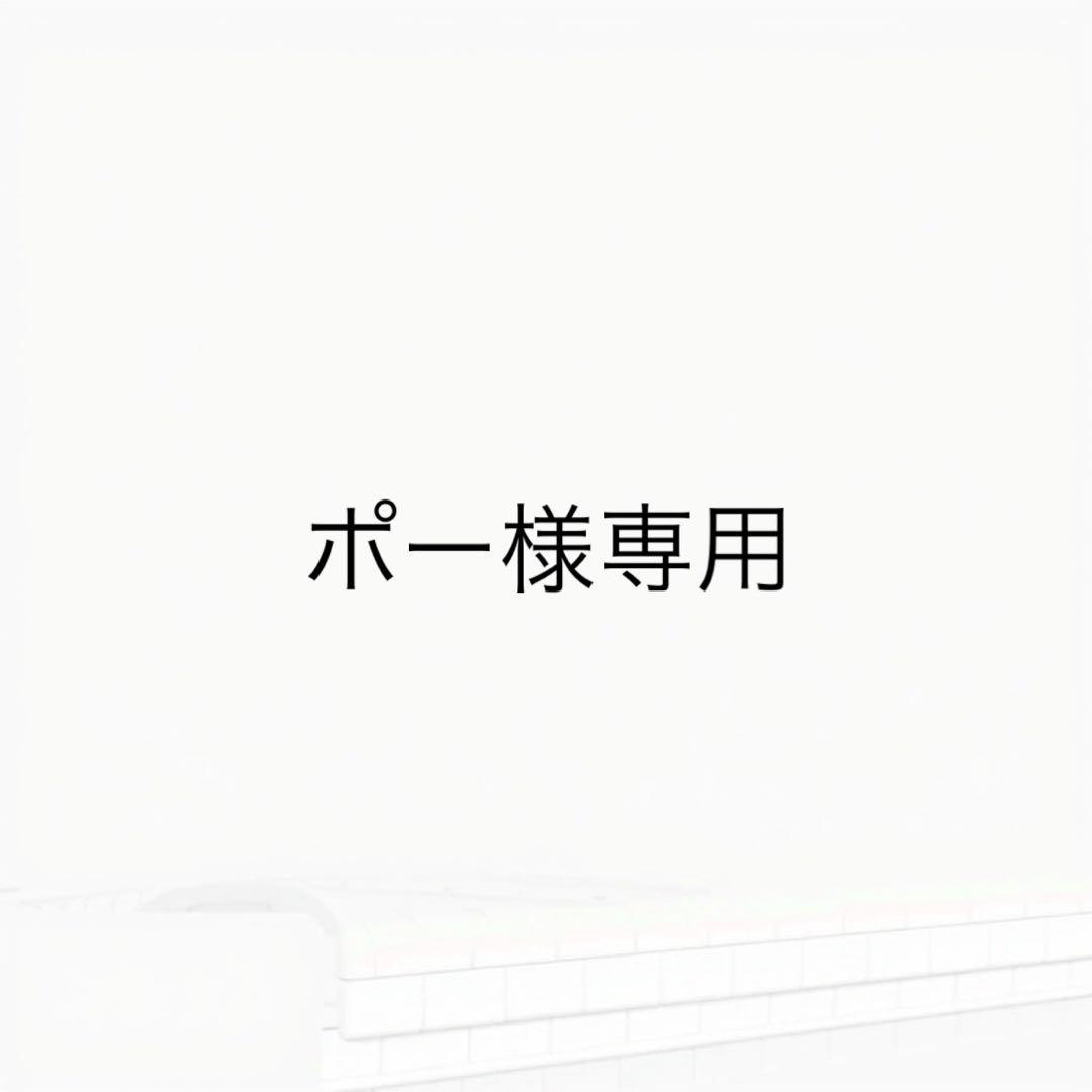 バッグ NEW ERA WHEEL CARRY CASE SMALL SILVER