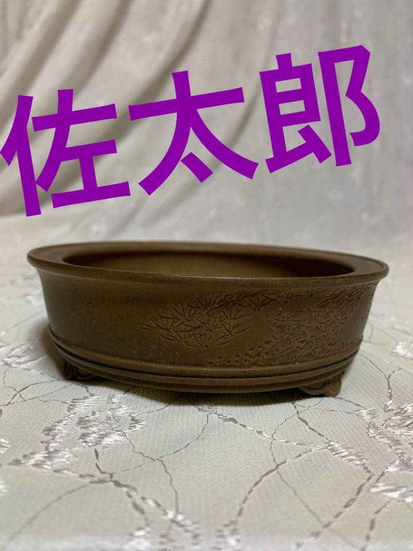 佐太郎　丸　松の絵彫り　盆栽鉢