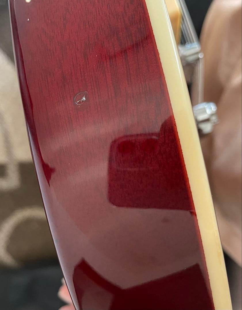 バッカス レスポール Live Road ソフトケース付