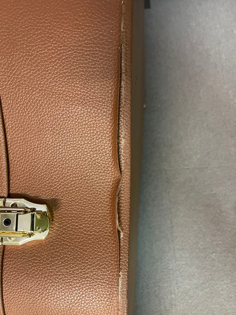 Dean Michael Schenker Exotica エレアコ