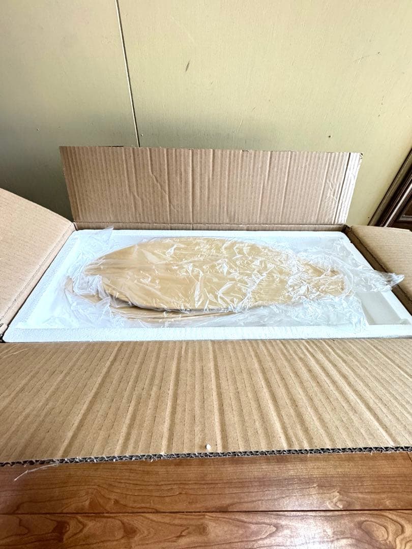 VENNORA Folia シーリングファンライト