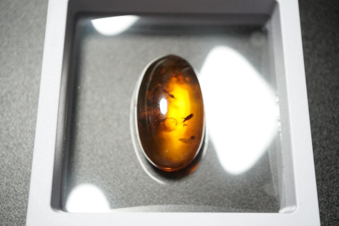 天然　琥珀　特大45ｃｔオーバー　虫入り