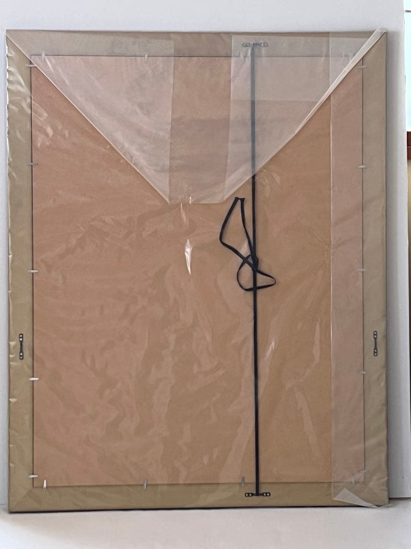 値下げ！選べるデザイン 選べる額縁 大判 850x660mm ダストカバー付