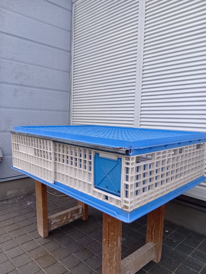 放鳩籠　コンテナ　レース鳩　移送　搬送　輸送　コンテナー　キャディー　愛鳩の友