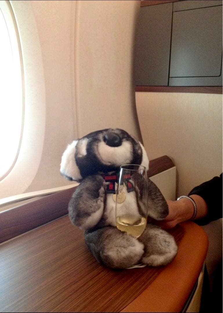 GUCCI(グッチ) コアラぬいぐるみ　シドニー限定