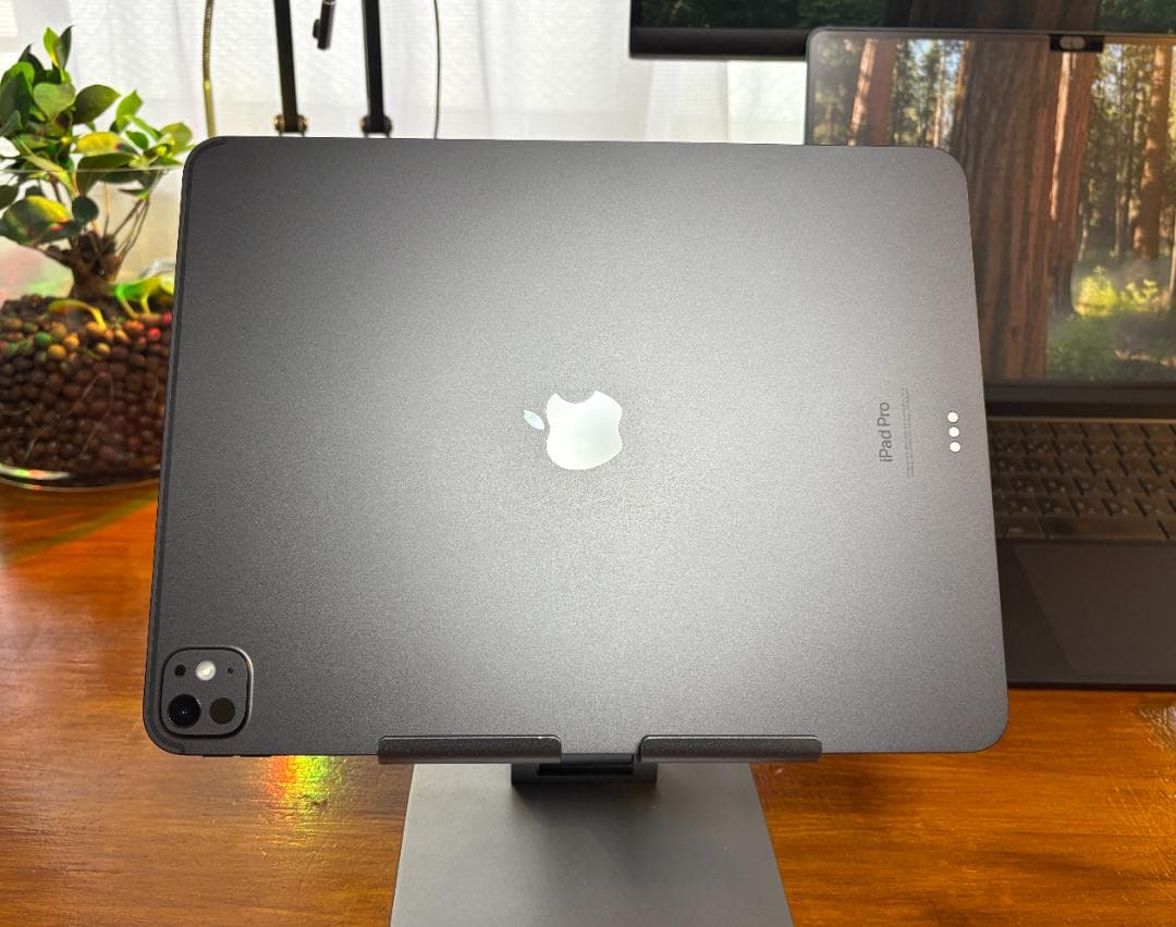 iPad Pro (M4) 13インチ　256GB　本体