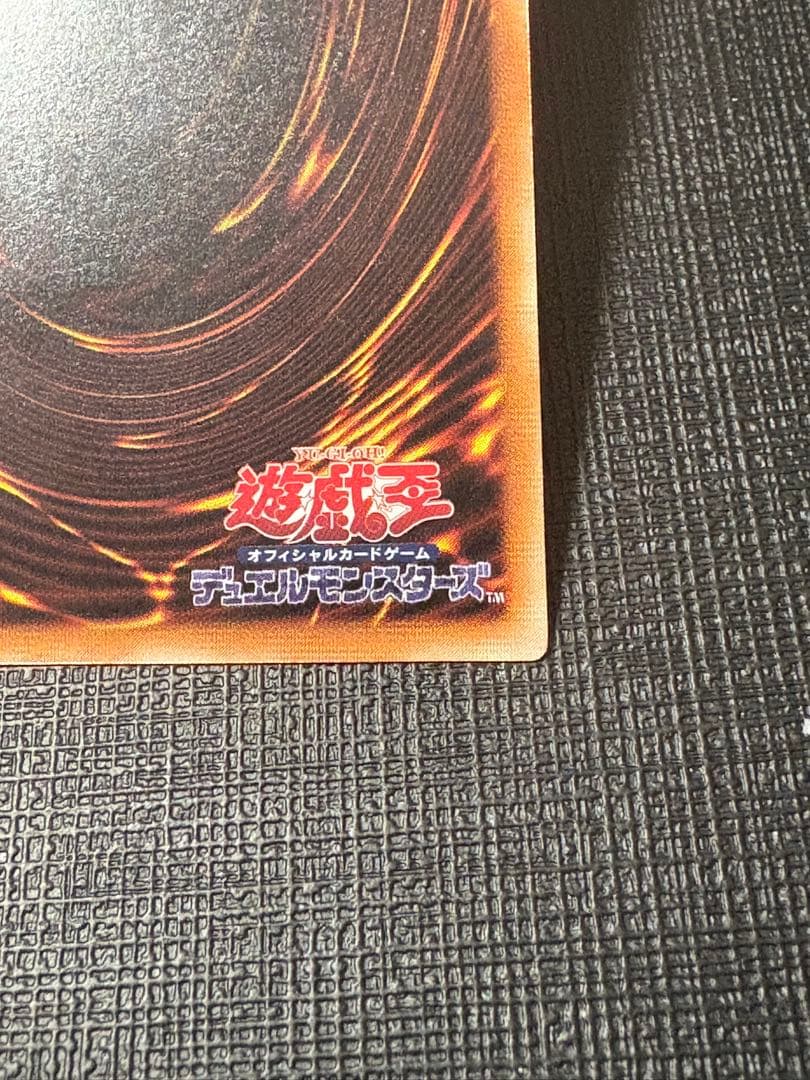 ヤ*）様 遊戯王 真紅眼の黒竜 レリーフ　親知らず個体