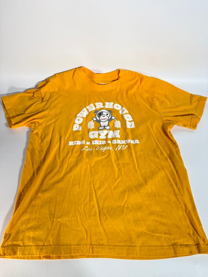 パワーハウスジム　Tシャツ　5枚セット