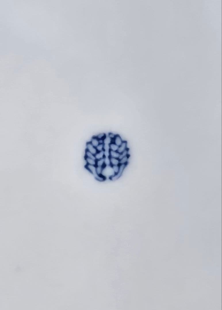 鍋島焼　鍋島御庭焼　名工　市川光春 作　 草花文様　飾り皿額皿　 約26.6cm