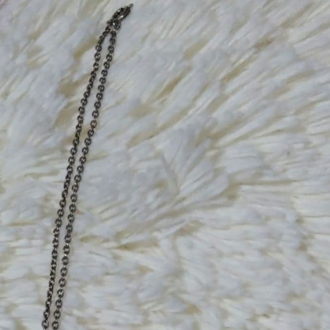 キャンディ・キャンディ　アードレー家の紋章ネックレス　希少