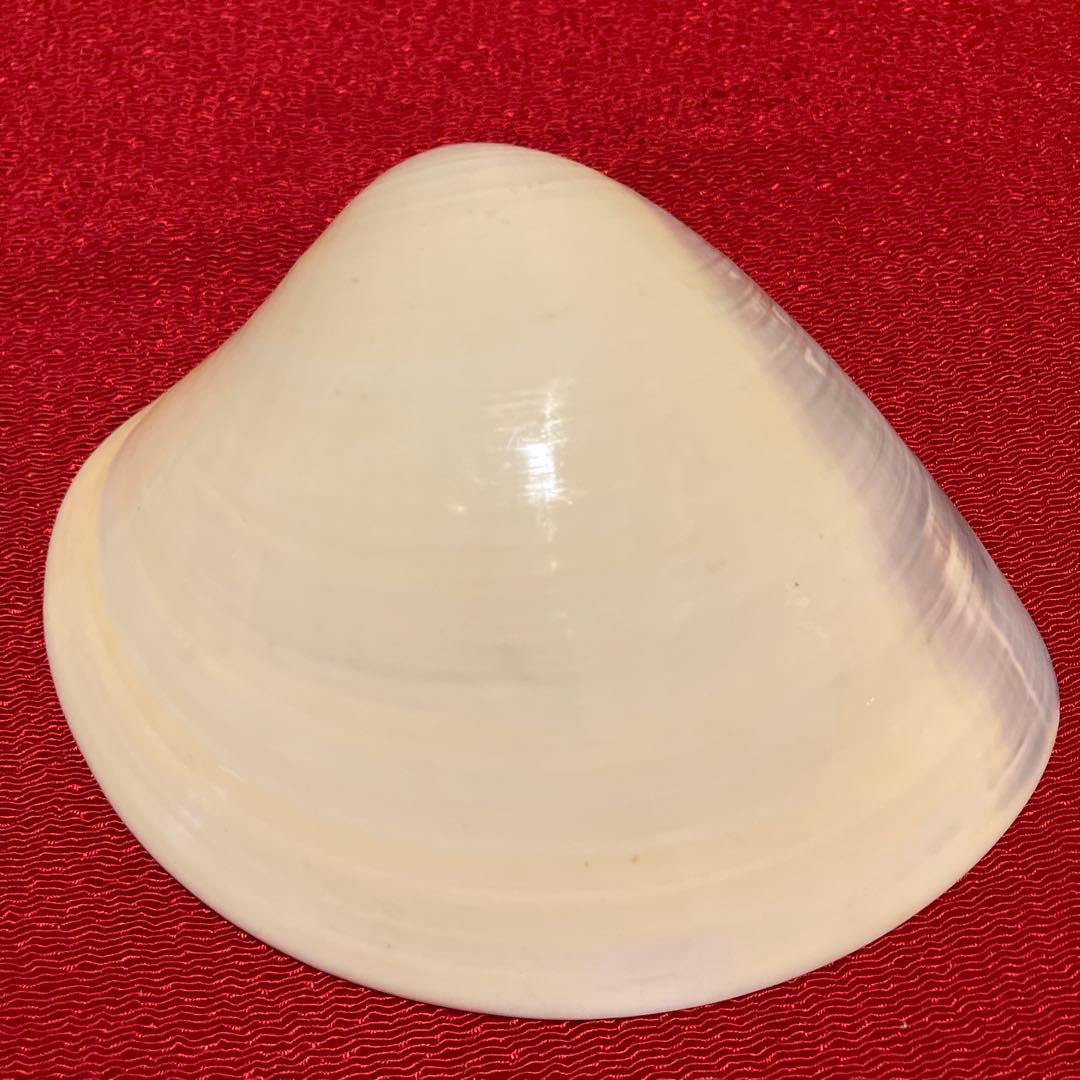 貝合わせ 池坊専好立花図 金彩蛤香合