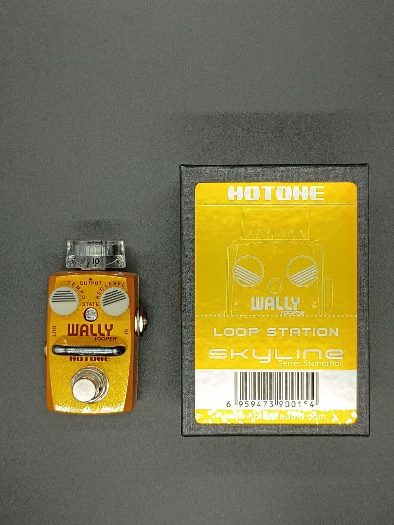 Hotone wally looper ルーパー